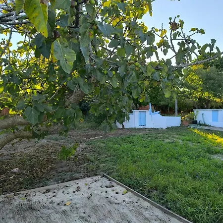 Casa vacanze Casa Do Camondo Veiros (Aveiro)