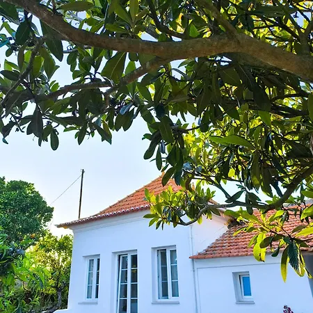 Dom wakacyjny Casa Do Camondo