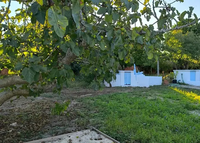 Casa de Férias Casa Do Camondo Veiros (Aveiro)