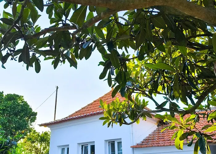 Casa de Férias Casa Do Camondo
